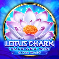Hình ảnh người chơi Baccarat thành công, tổng kết chiến lược tại xeng88