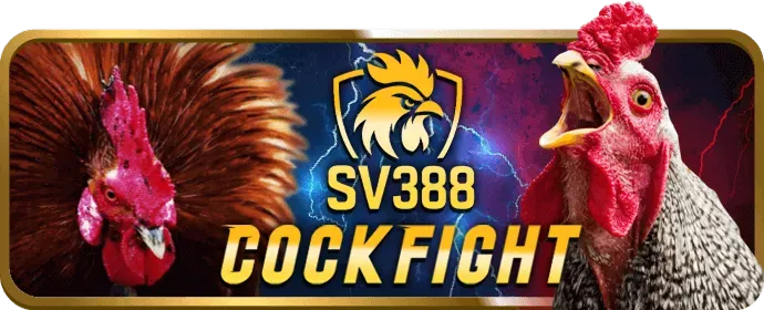 Đội ngũ chuyên nghiệp của xeng88 link vào