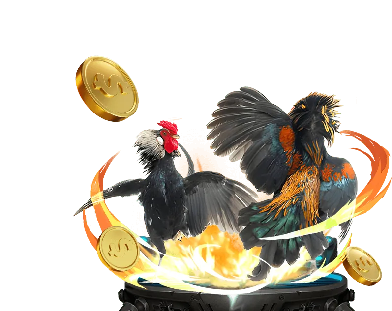 Tổng quan nền tảng xeng88